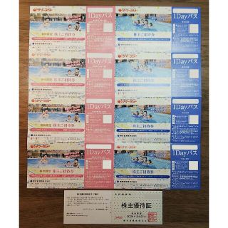 東京都競馬 株主優待券（東京サマーランド株主ご招待券）1DAYパス8枚組(その他)