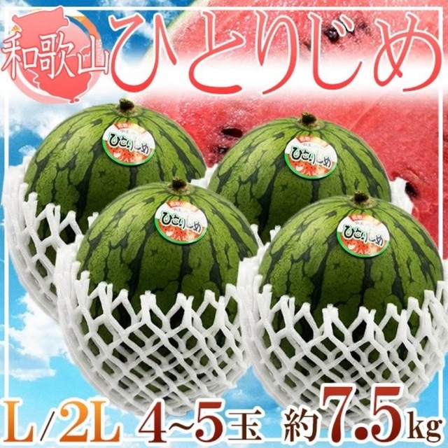 最高の品質 食べ切りサイズ‼️和歌山県産 紅小玉スイカ 6玉 もぎたて!!尾花沢スイカ MLサイズ 2個入り