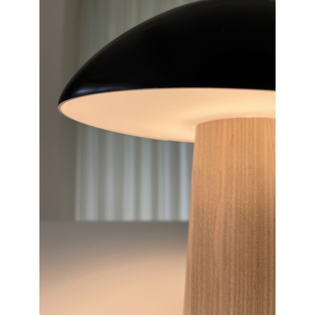 K様专属 FRITZ HANSEN NIGHT OWL TABLE LAMP インテリア/住まい/日用品のライト/照明/LED(テーブルスタンド)の商品写真