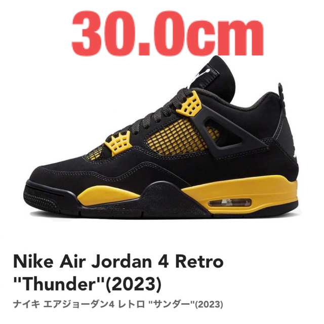 新品　Nike Air Jordan 4 Retoro 30.0cmのサムネイル