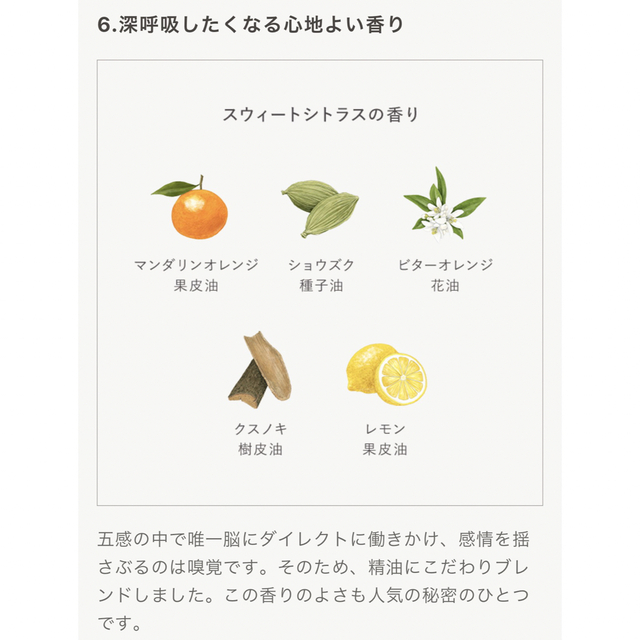 N organic(エヌオーガニック)のN organic モイスチュア&バランシング フォーム コスメ/美容のスキンケア/基礎化粧品(洗顔料)の商品写真