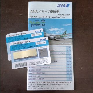 エーエヌエー(ゼンニッポンクウユ)(ANA(全日本空輸))の【匿名配送】ANA株主優待券 ２枚(その他)