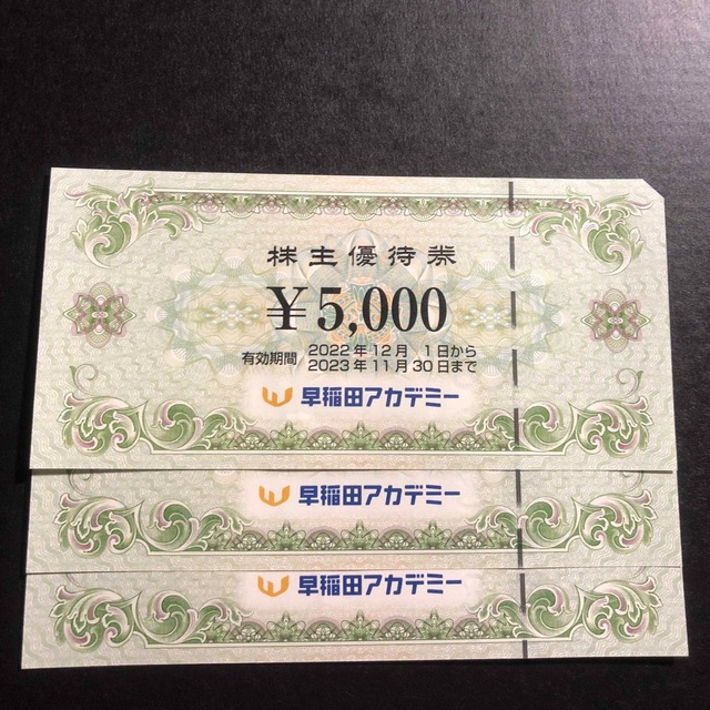 早稲田アカデミー 株主優待券 15000円分 8820円 チケット 優待券/割引