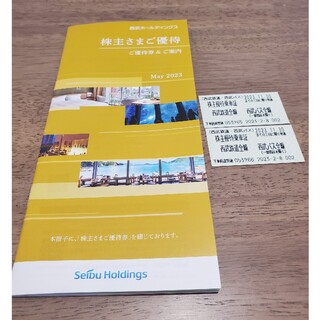 西武ホールディングス　株主優待　1冊+切符2枚(ショッピング)