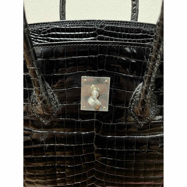 クロコダイル　ヒマラヤ　ハンドバッグ レディースのバッグ(ハンドバッグ)の商品写真