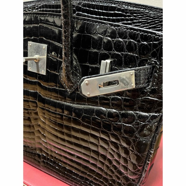 クロコダイル　ヒマラヤ　ハンドバッグ レディースのバッグ(ハンドバッグ)の商品写真