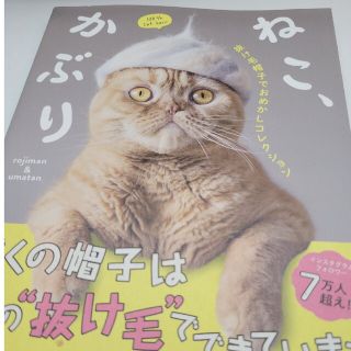 ねこ、かぶり 抜け毛帽子でおめかしコレクション(住まい/暮らし/子育て)