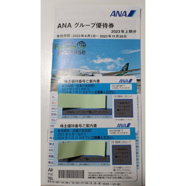 ANA 株式優待　有効期限　2023年11月30日　2枚