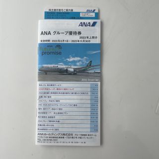 エーエヌエー(ゼンニッポンクウユ)(ANA(全日本空輸))のANA 株主優待券(その他)