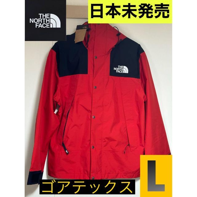 THE NORTH FACE(ザノースフェイス)の日本未入荷  ノースフェイス  マウンテンジャケット  GORE TEX L メンズのジャケット/アウター(ナイロンジャケット)の商品写真