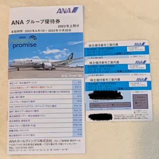 ANA 株主優待(航空券)