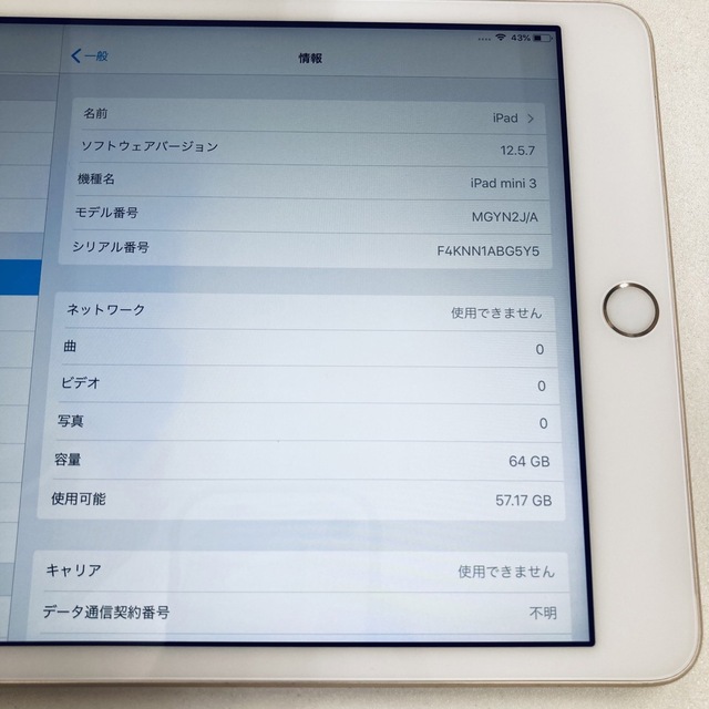 iPad mini3 64GB softbank セルラーモデル - sorbillomenu.com