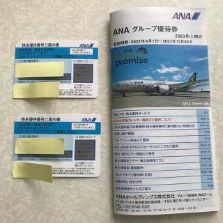 エーエヌエー(ゼンニッポンクウユ)(ANA(全日本空輸))のANA株主優待　国内線ご搭乗優待2枚➕ANAグループ優待券23年上期1冊(その他)