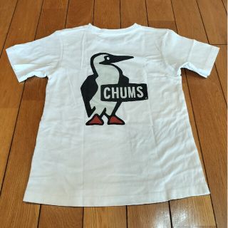 チャムス(CHUMS)のCHUMSのTシャツ(Tシャツ/カットソー)