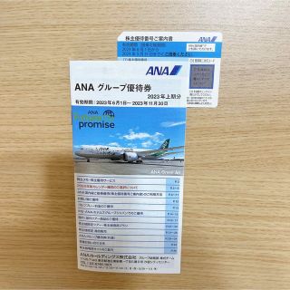 エーエヌエー(ゼンニッポンクウユ)(ANA(全日本空輸))のANA 株主優待(その他)