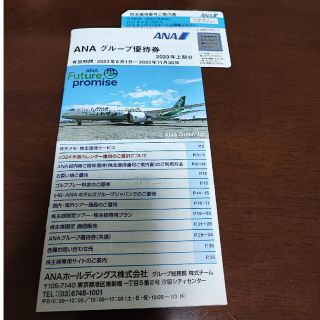 エーエヌエー(ゼンニッポンクウユ)(ANA(全日本空輸))のANA(全日本空輸)   株主優待券(その他)