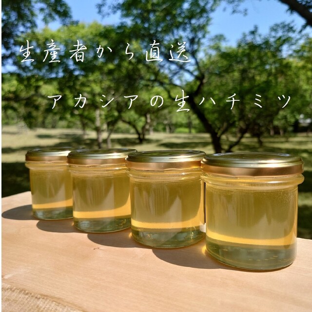 アカシアの生ハチミツ【150g】×4本 2023/5採蜜　新蜜　国産
