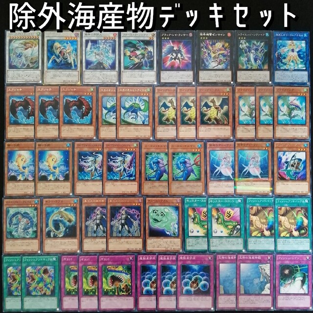 遊戯王(ユウギオウ)の遊戯王　除外海産物デッキセット エンタメ/ホビーのトレーディングカード(Box/デッキ/パック)の商品写真