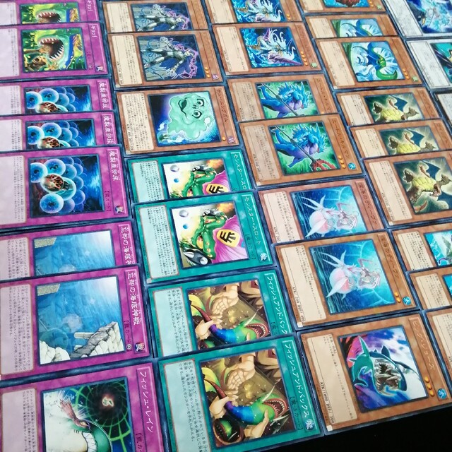 遊戯王(ユウギオウ)の遊戯王　除外海産物デッキセット エンタメ/ホビーのトレーディングカード(Box/デッキ/パック)の商品写真