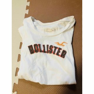 ホリスター(Hollister)のHollister  Tシャツ(Tシャツ(半袖/袖なし))