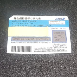 エーエヌエー(ゼンニッポンクウユ)(ANA(全日本空輸))の【最新版】ANA株主優待券1枚(その他)