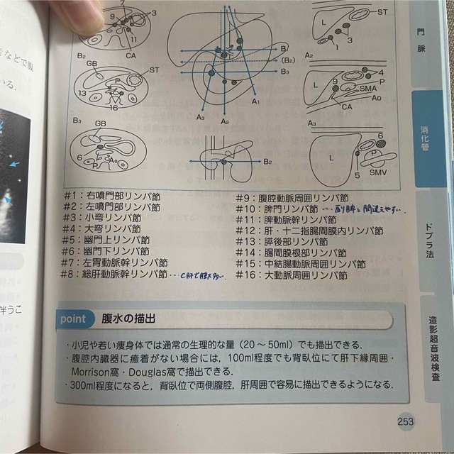 超音波検査士認定試験対策 臨床編:消化器領域 エンタメ/ホビーの本(資格/検定)の商品写真