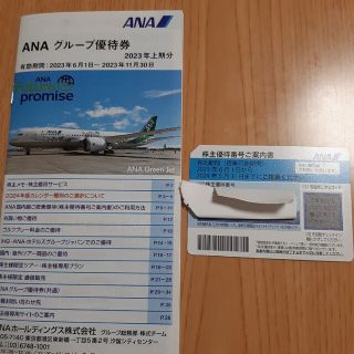 エーエヌエー(ゼンニッポンクウユ)(ANA(全日本空輸))のANA 全日空　株主優待券セット(その他)