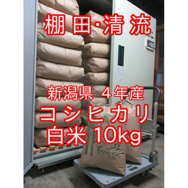 新潟県 ４年産 コシヒカリ 白米 　10ｋｇ(10ｋｇ×１袋) お米 米