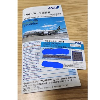 エーエヌエー(ゼンニッポンクウユ)(ANA(全日本空輸))のANA 全日空　株主優待(航空券)