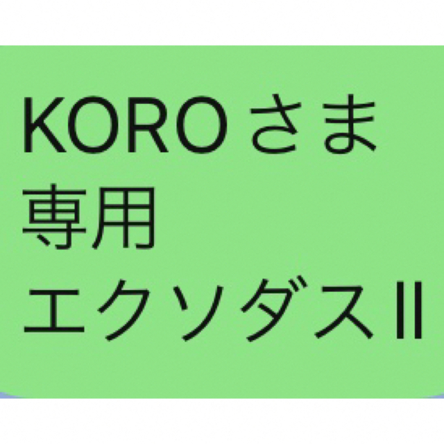 KOROさま 専用 エクソダスll