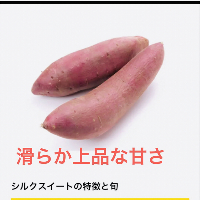 シルクスイート芋苗200本 食品/飲料/酒の食品(野菜)の商品写真