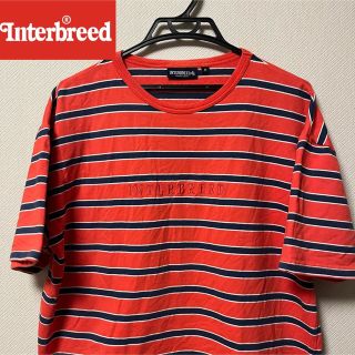 INTERBREED - interbreed s/s border shirt