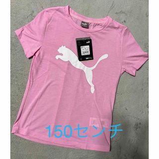 プーマ(PUMA)のプーマ ドライTシャツ 150 新品未使用(Tシャツ/カットソー)