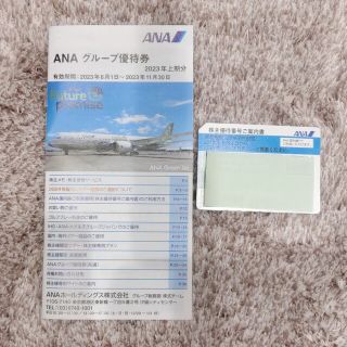 エーエヌエー(ゼンニッポンクウユ)(ANA(全日本空輸))のANA グループ優待券と国内線搭乗優待券 2023年上期分(その他)