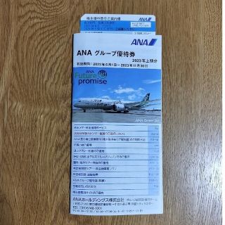 エーエヌエー(ゼンニッポンクウユ)(ANA(全日本空輸))のANA株主優待券(航空券)