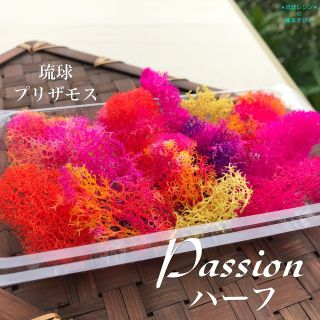 琉球プリザモス  {passionハーフ}  フィンランドモス  (プリザーブドフラワー)