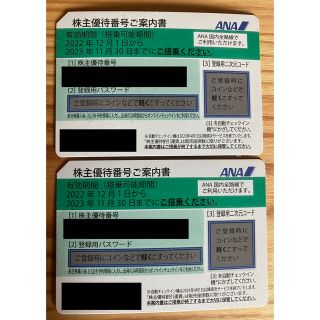 ANA株主優待券2枚　2023年11月30日まで(その他)