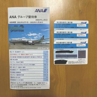 エーエヌエー(ゼンニッポンクウユ)(ANA(全日本空輸))のANA 株主優待券　3枚＋冊子1部(その他)