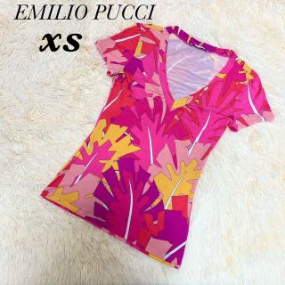 エミリオプッチ(EMILIO PUCCI)の【美品】EMILIO PUCCI トップス　tシャツ ストレッチ　総柄(カットソー(半袖/袖なし))