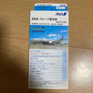 エーエヌエー(ゼンニッポンクウユ)(ANA(全日本空輸))のANA株主優待券とグループ優待券(航空券)