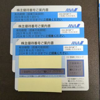 エーエヌエー(ゼンニッポンクウユ)(ANA(全日本空輸))のANA株主優待券　3枚(その他)