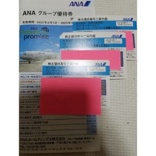 ANA 株主優待券　三枚　冊子(その他)