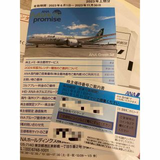 エーエヌエー(ゼンニッポンクウユ)(ANA(全日本空輸))の最新　ANA 株主優待　1枚(航空券)