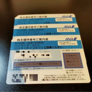 エーエヌエー(ゼンニッポンクウユ)(ANA(全日本空輸))のANA 全日空　優待　株主優待券3枚(その他)