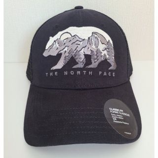 ザノースフェイス(THE NORTH FACE)のノースフェイスキャップ（アメリカ限定）(キャップ)