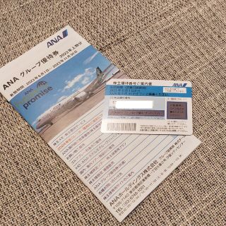 ANA 株主優待　グループ優待券　株主優待番号案内書(その他)