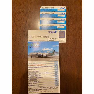 エーエヌエー(ゼンニッポンクウユ)(ANA(全日本空輸))のANA（全日本空輸）(その他)