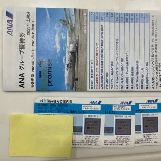 エーエヌエー(ゼンニッポンクウユ)(ANA(全日本空輸))のANA 株主優待　3枚！最新　匿名配送(その他)