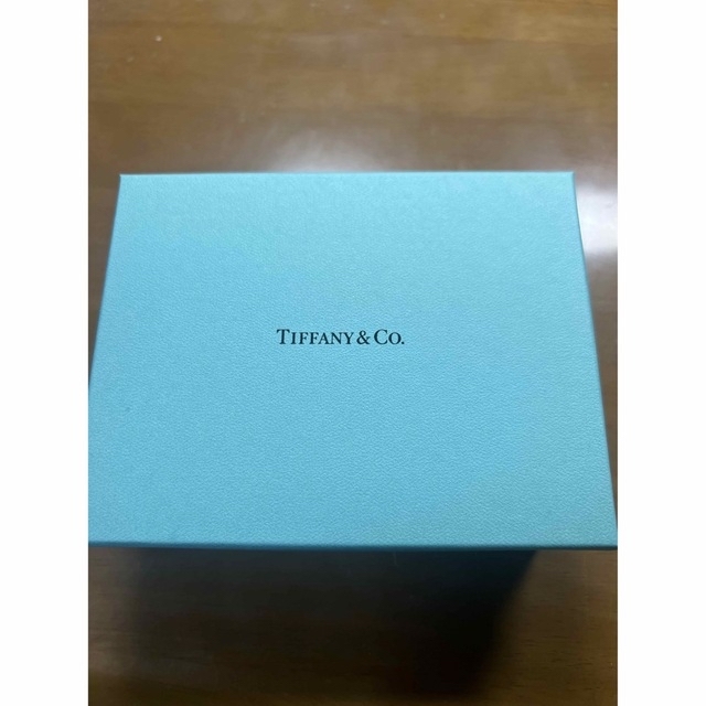 Tiffany & Co.(ティファニー)のTiffany&Co ティファニー Tナローチェーンブレスレット メンズのアクセサリー(ブレスレット)の商品写真