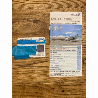 エーエヌエー(ゼンニッポンクウユ)(ANA(全日本空輸))のANA株主優待券x1  2024年5/31まで（＋グループ優待券）(その他)